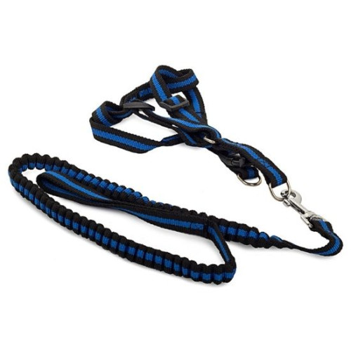 Поводок с ремнями шлейки для собак и кошек синий