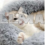 Лежак для собаки Hairy, серый 22759
