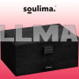 Скринька/футляр для коштовностей Soulima 22262