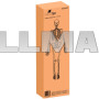 Скелет человека - 170см Malatec 22583