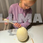 Яйцо динозавра — раскопки 24981