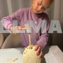Яйцо динозавра — раскопки 24981